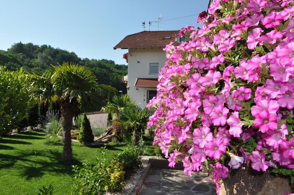 Garni San Paolo Hotel Appiano Sulla Strada Del Vino Ngoại thất bức ảnh