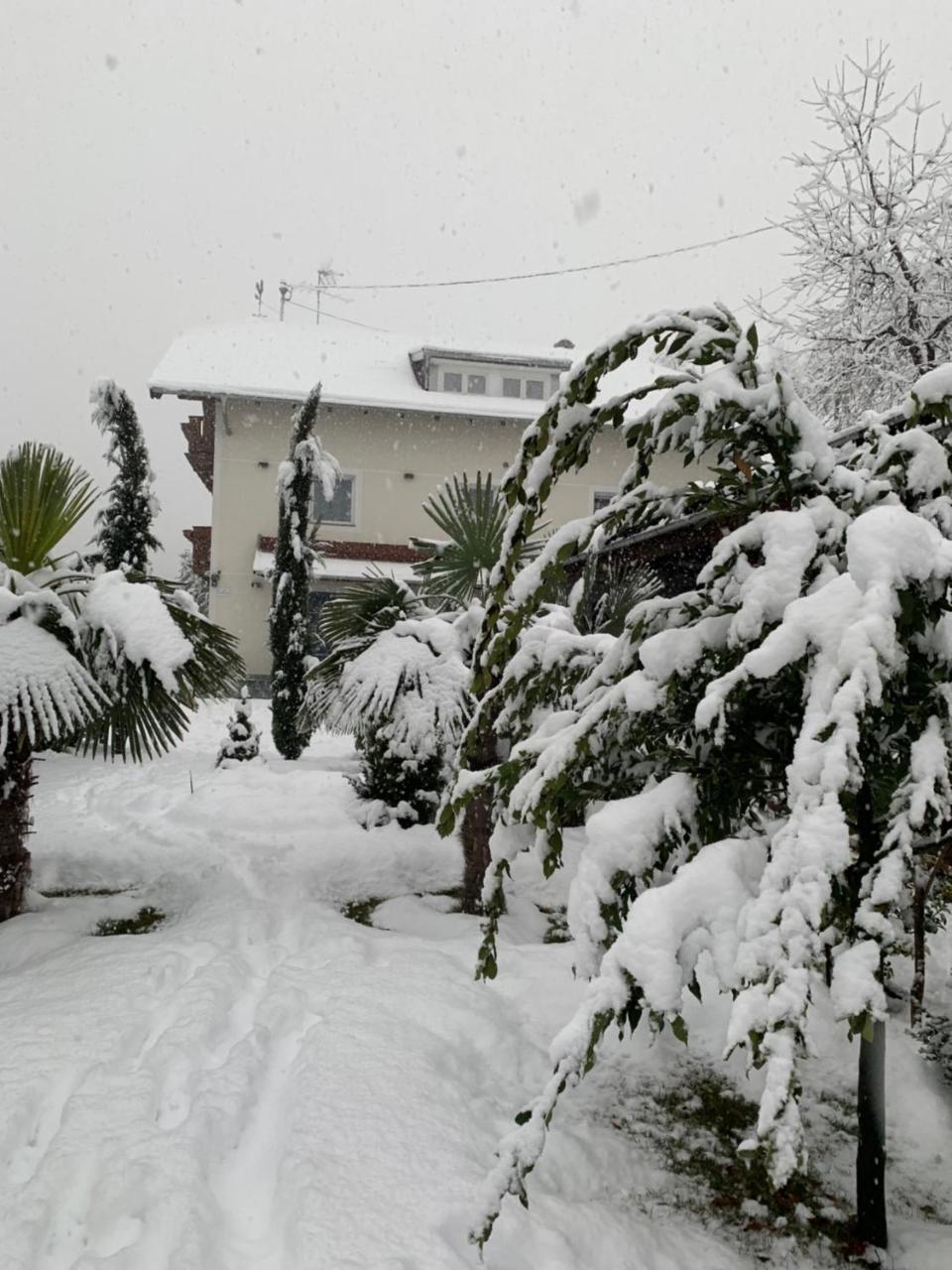 Garni San Paolo Hotel Appiano Sulla Strada Del Vino Ngoại thất bức ảnh