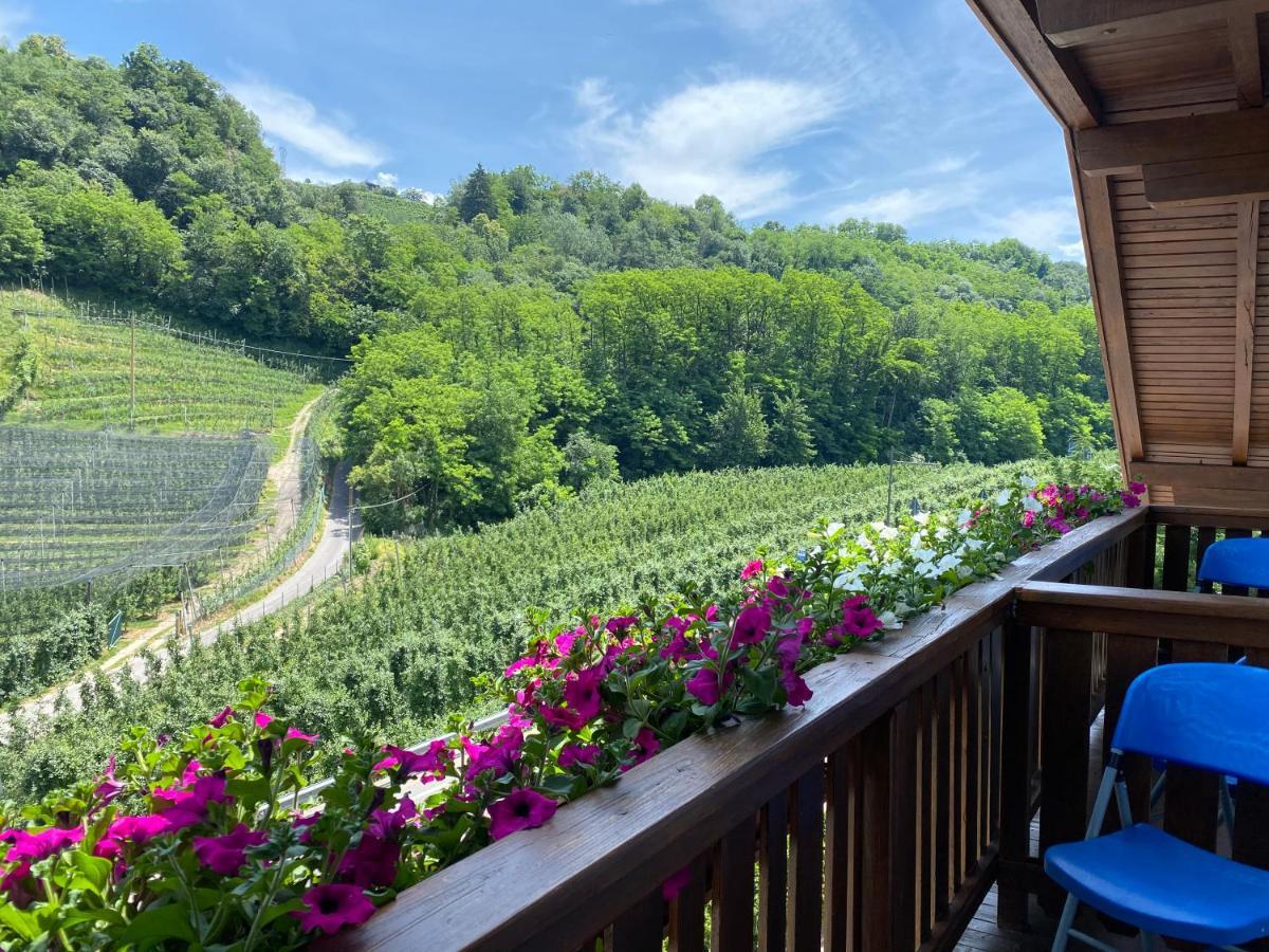 Garni San Paolo Hotel Appiano Sulla Strada Del Vino Ngoại thất bức ảnh